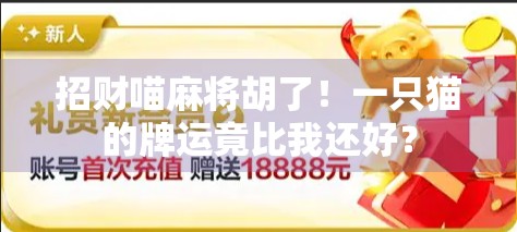 招财喵麻将胡了！一只猫的牌运竟比我还好？