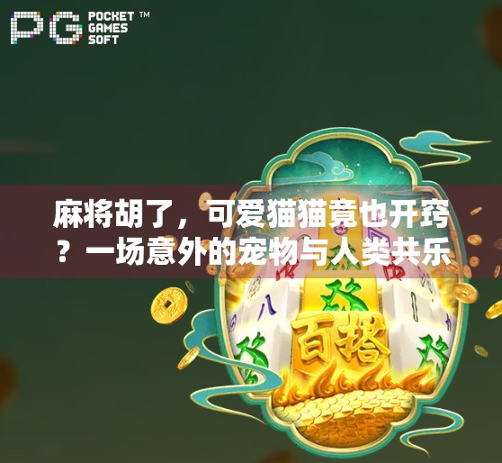 麻将胡了，可爱猫猫竟也开窍？一场意外的宠物与人类共乐时刻