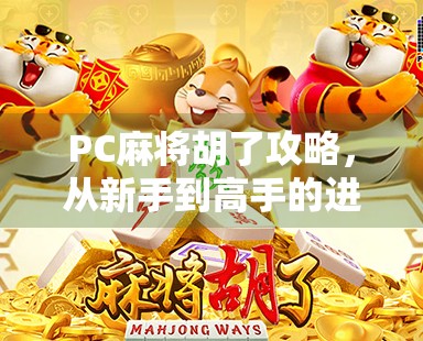 PC麻将胡了攻略，从新手到高手的进阶秘籍，轻松赢在起跑线！