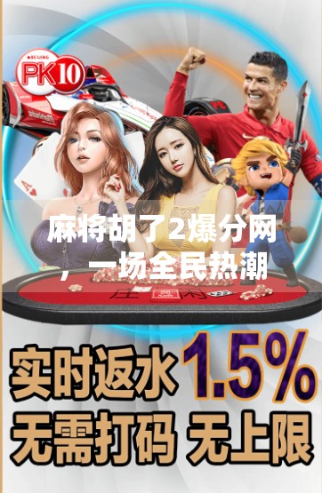 麻将胡了2爆分网，一场全民热潮背后的真相与反思